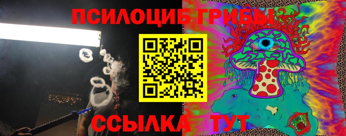 Галлюциногенные грибы прущие грибы Жигулёвск